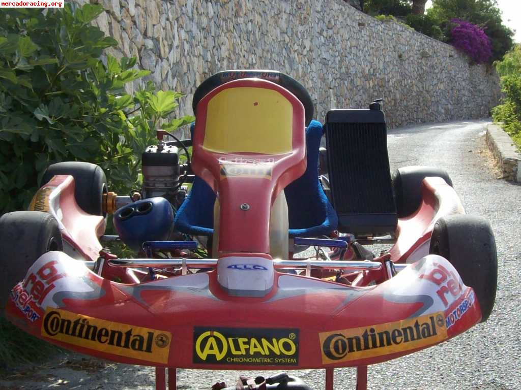 Birel r31   pcr tsl