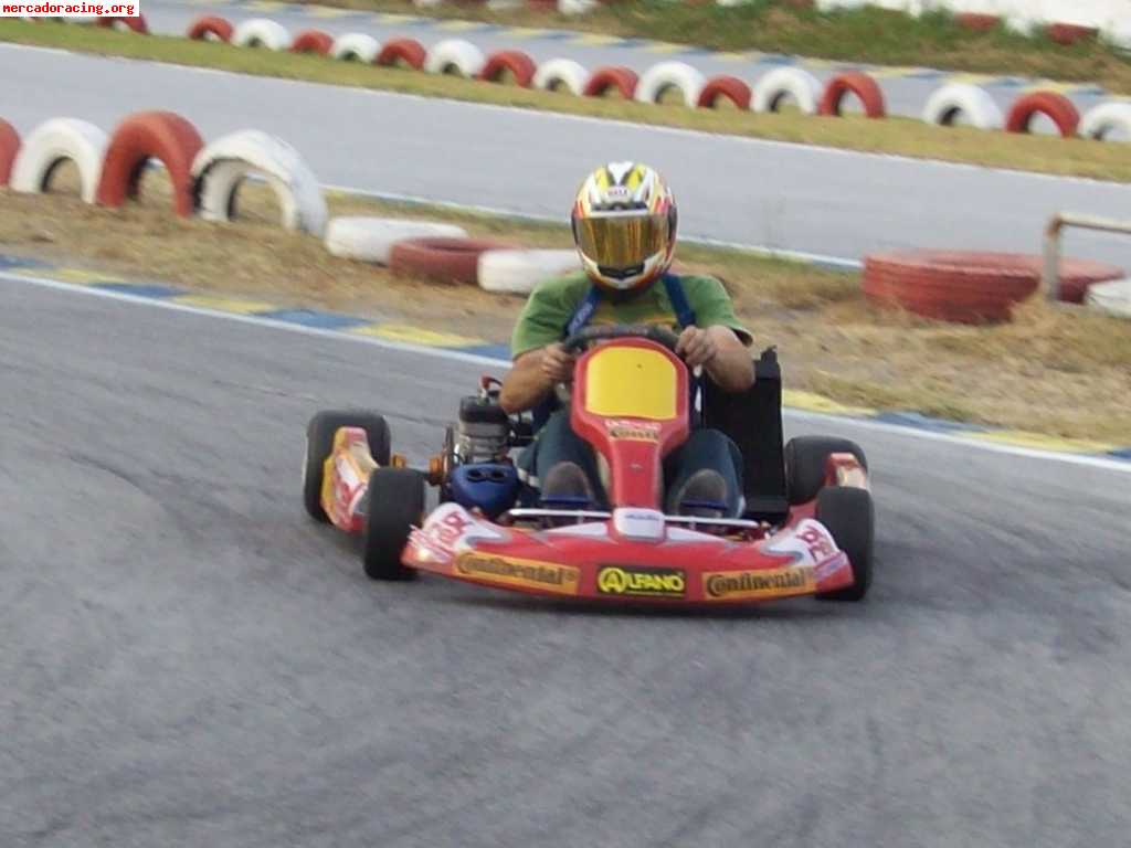 Birel r31   pcr tsl