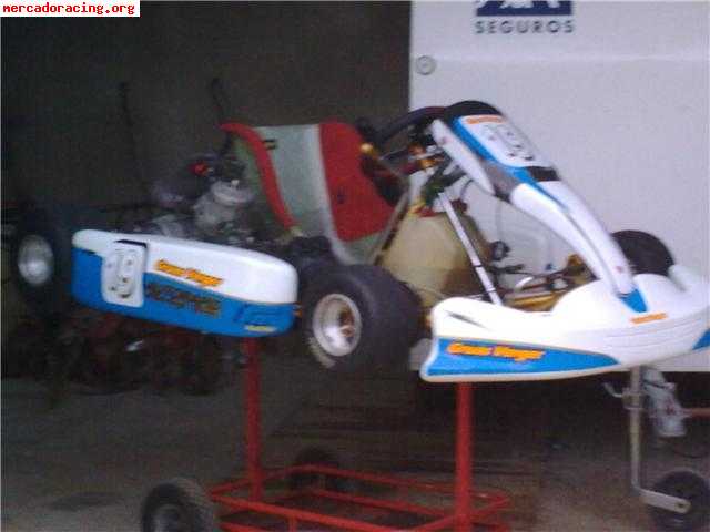 Kart motor tm