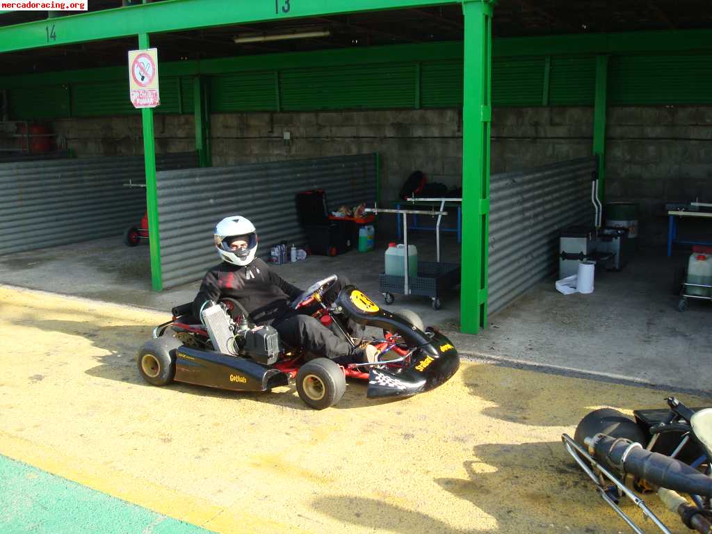 Vendo kart birel rotax 125cc   material de carrera