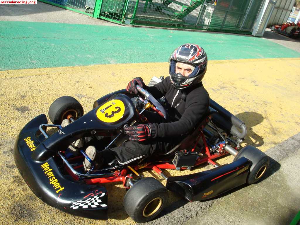 Vendo kart birel rotax 125cc   material de carrera