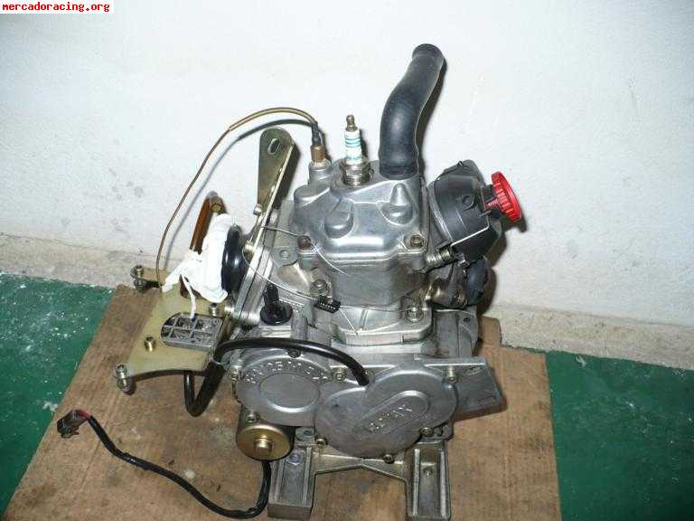 Tony kart rotax max economico
