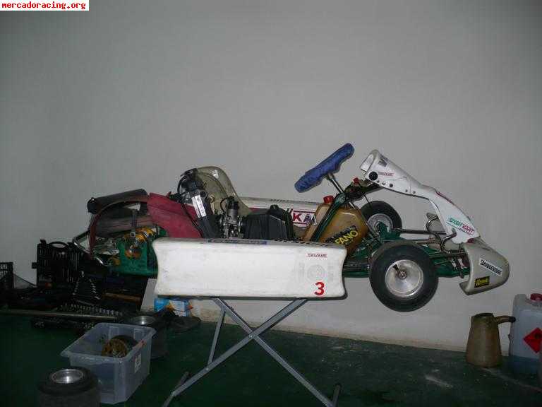 Tony kart rotax max economico