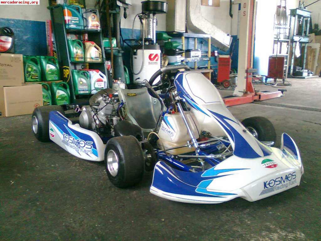 Kart kosmos 125 icc