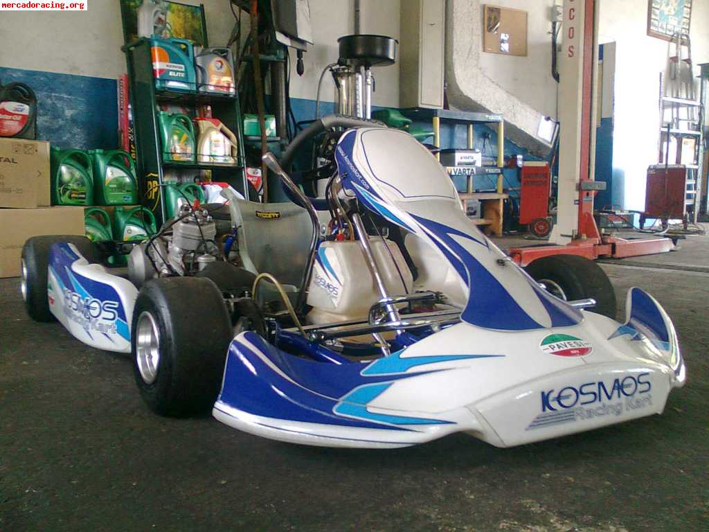 Kart kosmos 125 icc