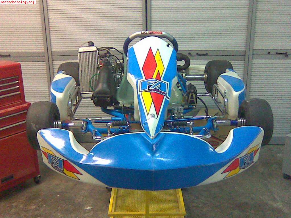 Vendo fa kart 2009 motor rotax