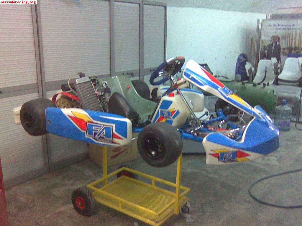 Vendo fa kart 2009 motor rotax