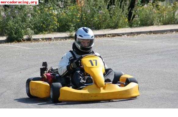 Se vende kart honda 4t 400cc