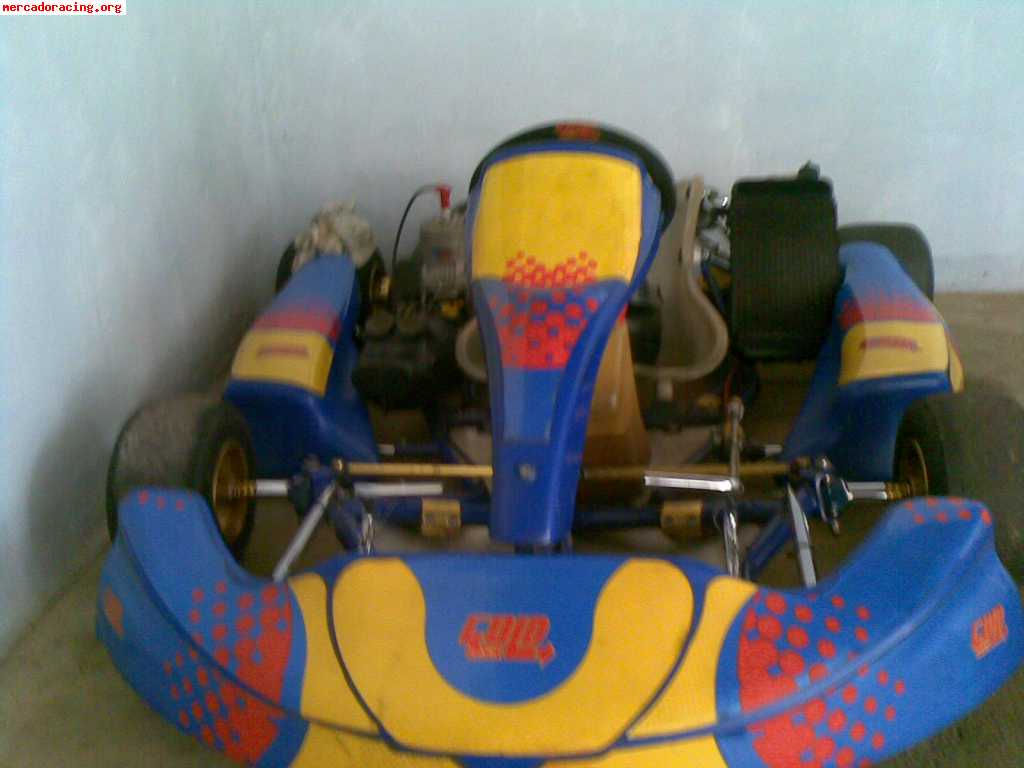 Se vende o se cambia karts icc tm faluga