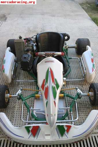 Tony kart evo r
