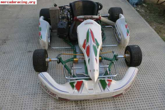 Tony kart evo r