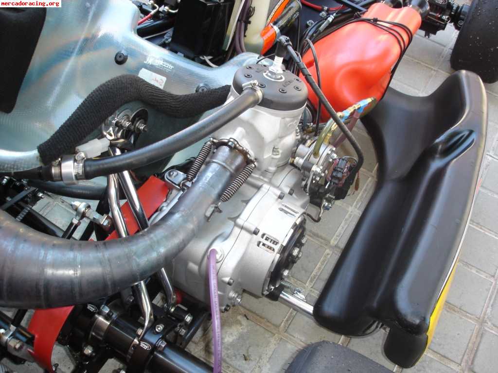 Kart crg 125 cc