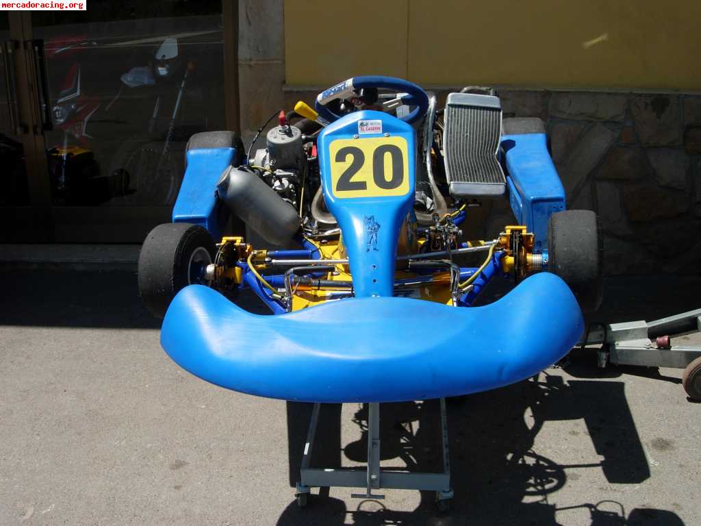 Kart 125 6v motor tm k9