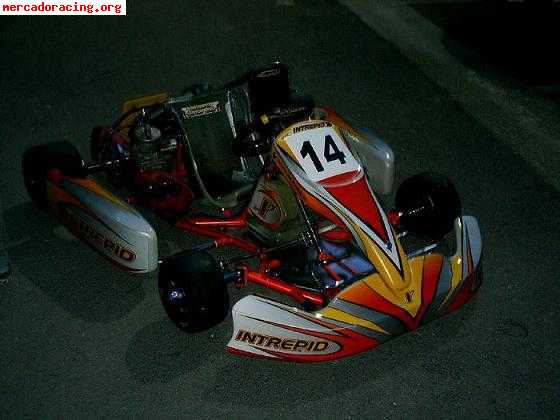 Se vende kart intrepid silverstone pro competicion por no po