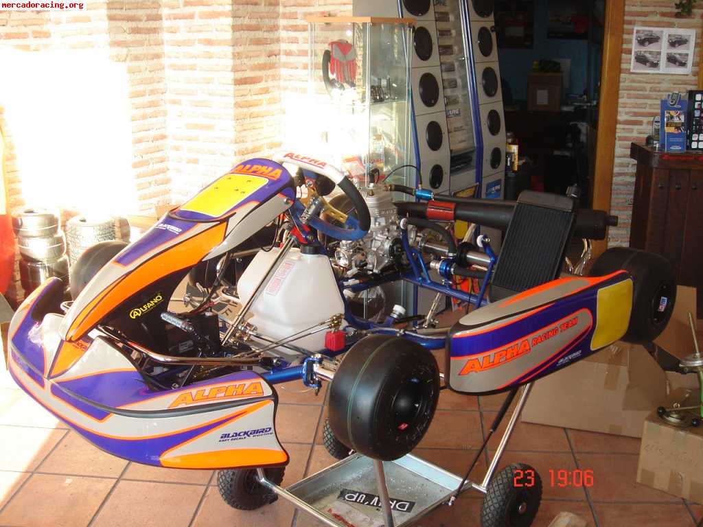 Kart alpha con motor parila iame x30