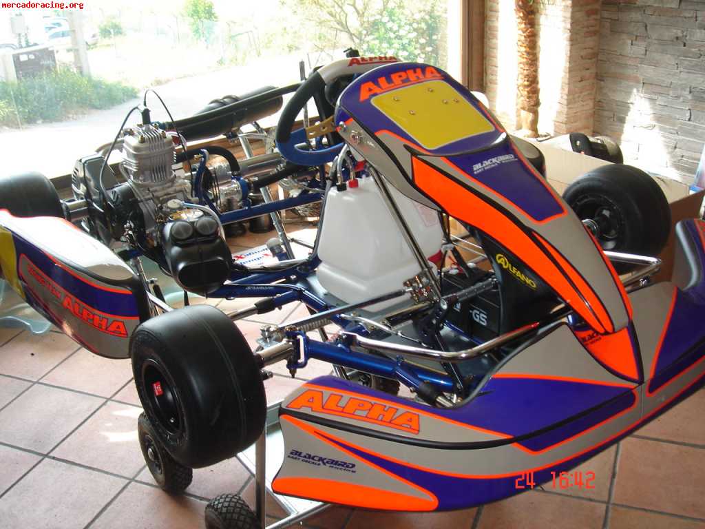 Kart alpha con motor parila iame x30