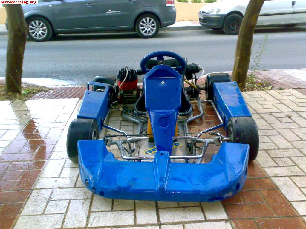 Kart 100cc   450€