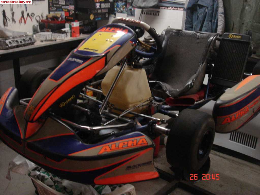 Alpha   parilla iame x-30