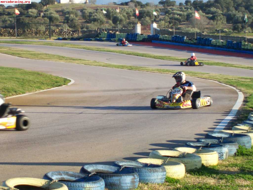 Karts 125 iame