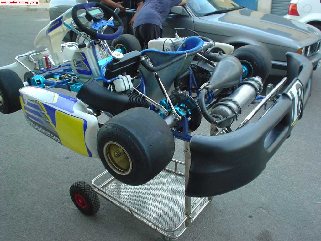 Kart icc first 125cc tmk9b