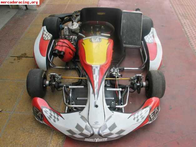 Vendo ea racing kz2 del 2008 con motor tm k9c