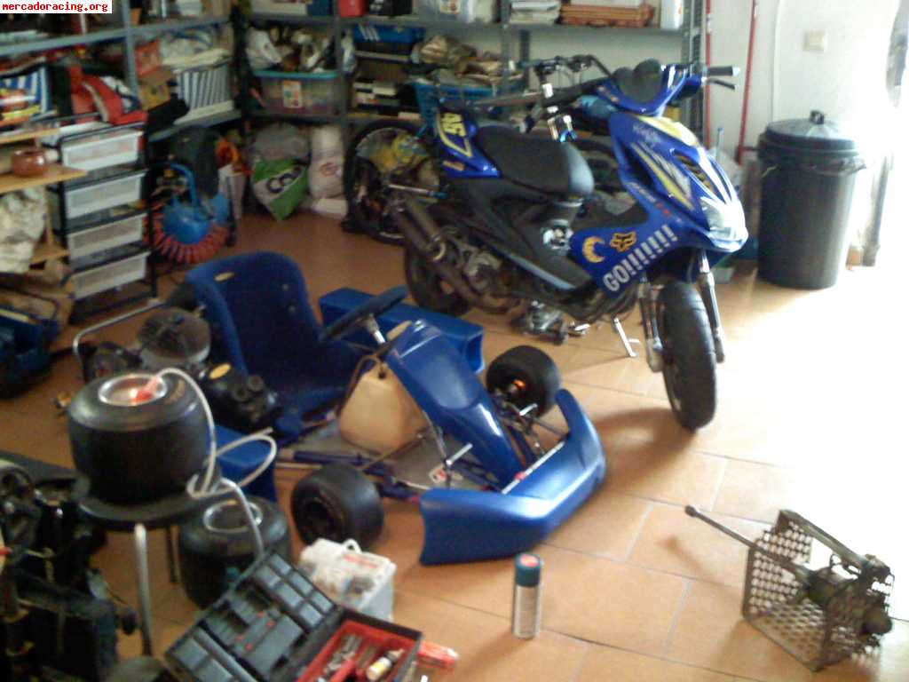 Vendo kart 100cc 2t. motor crg y chasis crg kalifornia. pont