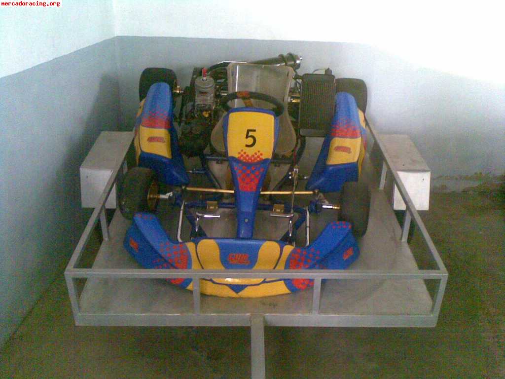 Vendo o cambio karts de competicion mas carro y equipo