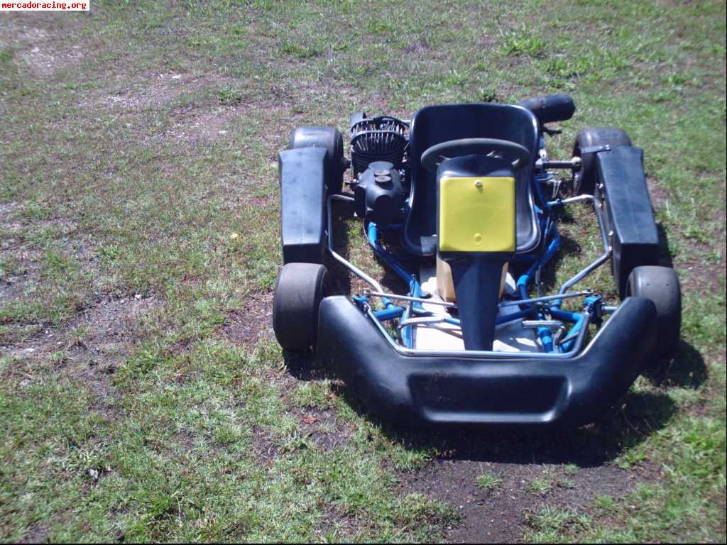 Vendo kart 100 c.c. directo