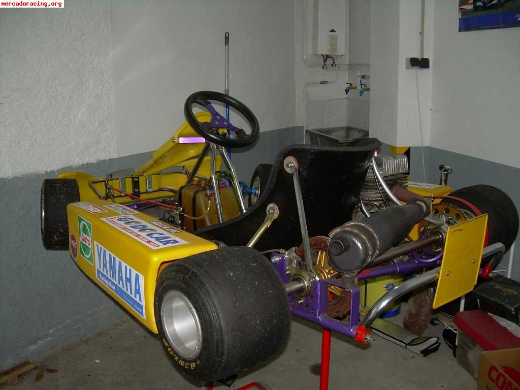 Vendo kart con crg con motor pcr inter a 100cc