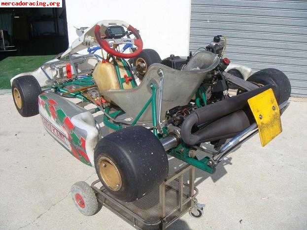 Tony kart ev   rotax max fr 125cc