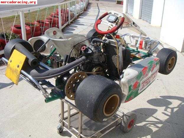 Tony kart ev   rotax max fr 125cc