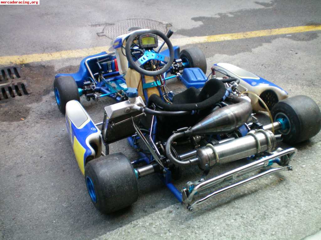 Vendo kart icc 6 velocidades o canbio