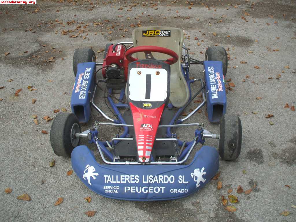 Se vende kart cadete motor comer w 80