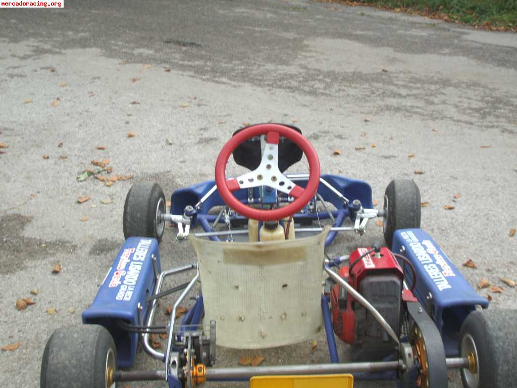 Se vende kart cadete motor comer w 80