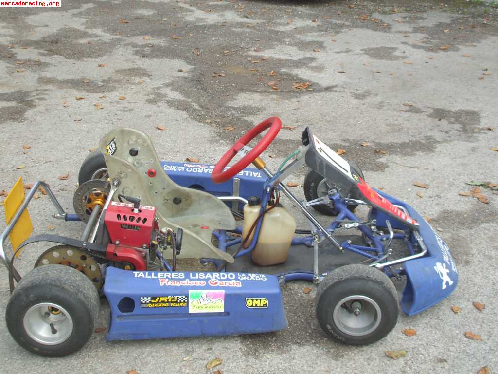 Se vende kart cadete motor comer w 80