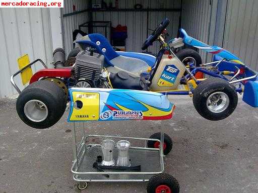 Vendo top-kart yamaha rc100