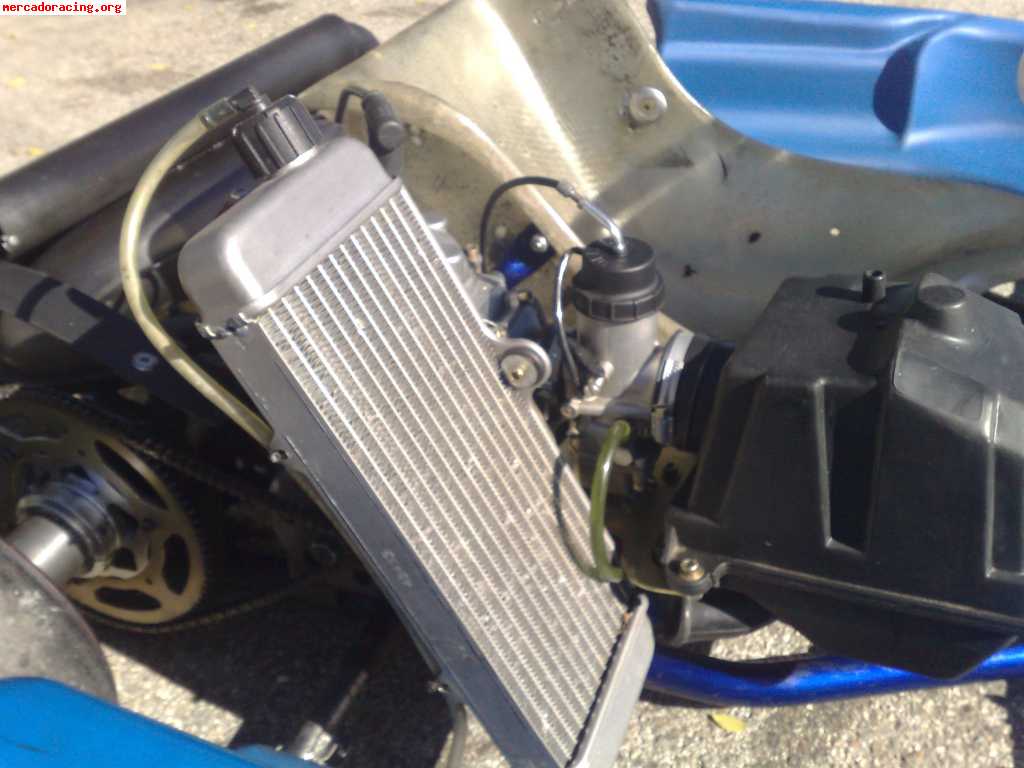Kart energy kinetic 2008,rotax max 125 10 horas precintado