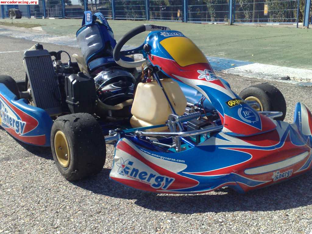 Kart energy kinetic 2008,rotax max 125 10 horas precintado