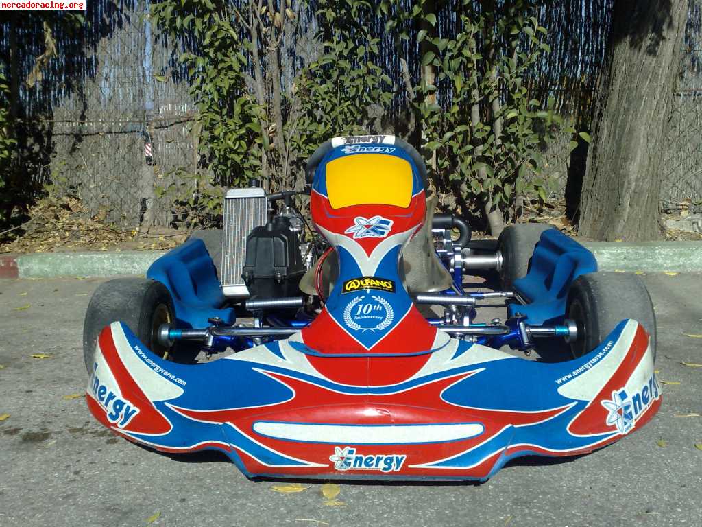 Kart energy kinetic 2008 rotax max 125 precintado con 10 hor