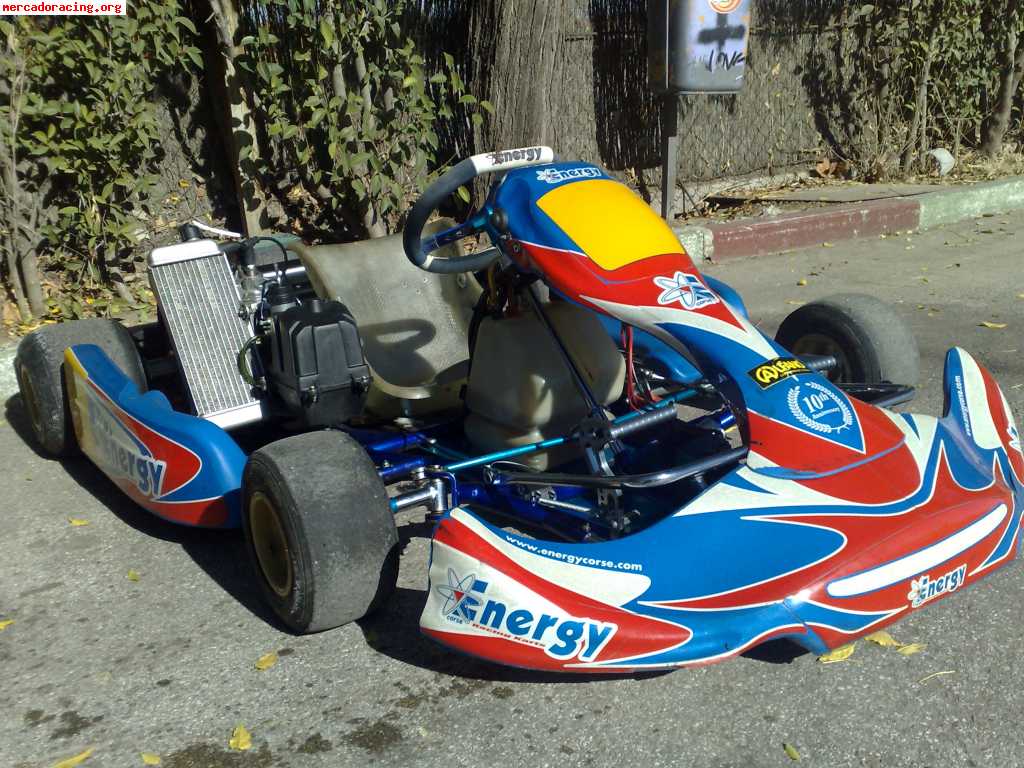 Kart energy kinetic 2008 rotax max 125 precintado con 10 hor