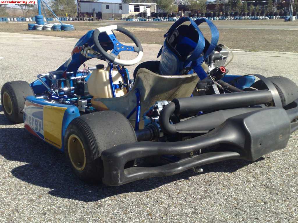 Kart energy kinetic 2008 rotax max 125 precintado con 10 hor