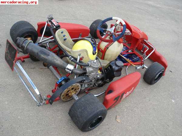 Cambio o vendo kart de competicion