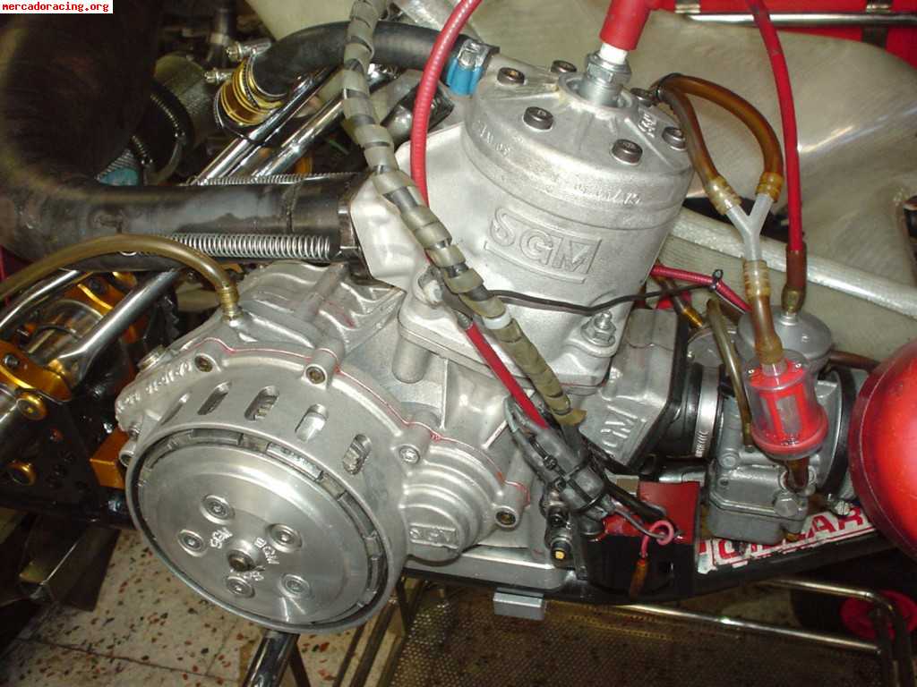 Kart pbd con motor sgm (icc)