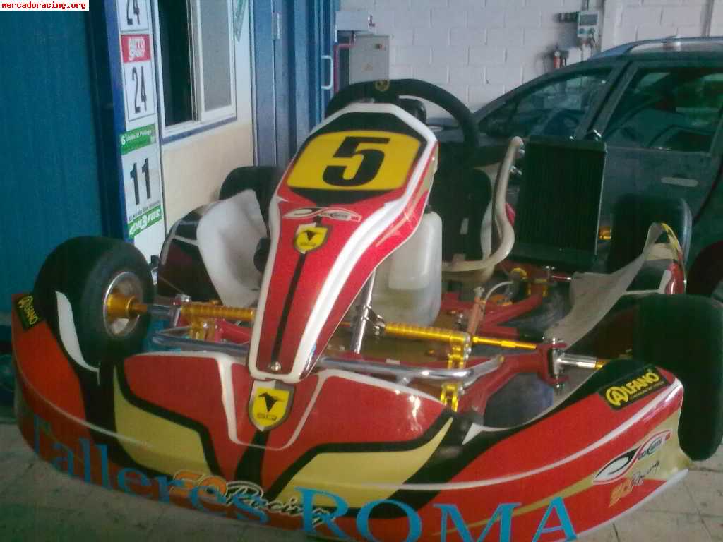 Kart de 125cc automatico comprado en abril de 2009 y con tan