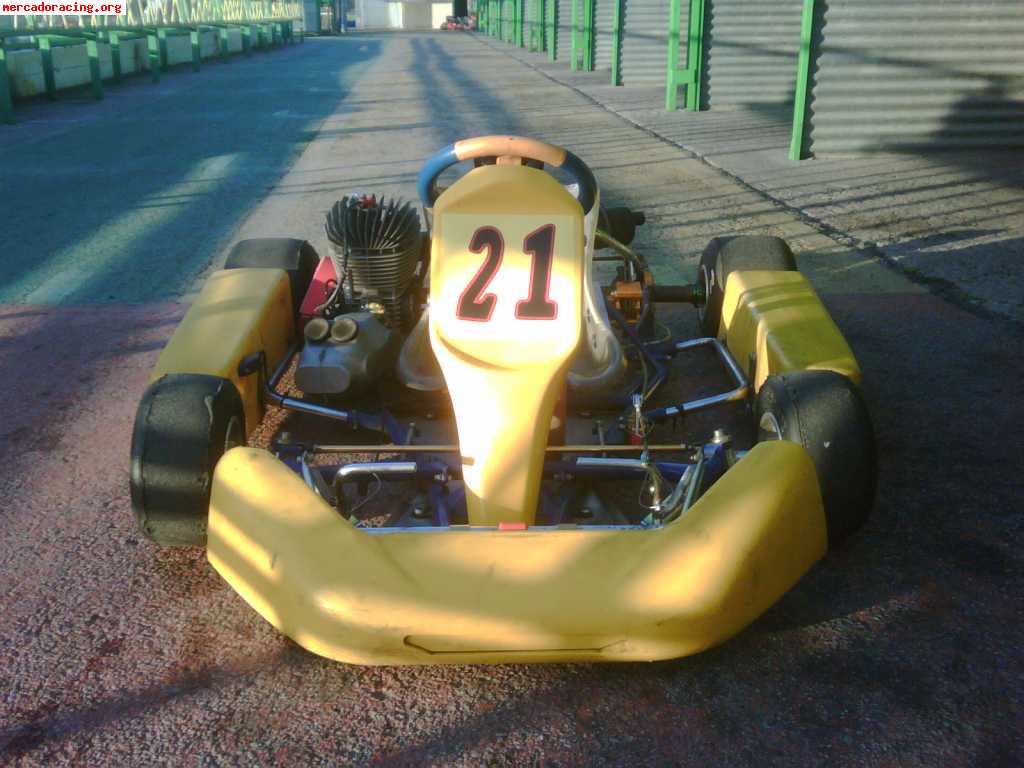 Vendo kart 100cc 