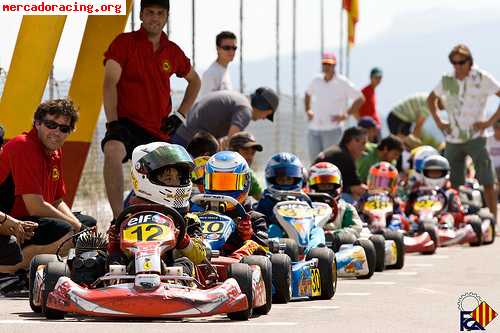 Kart alevin birel