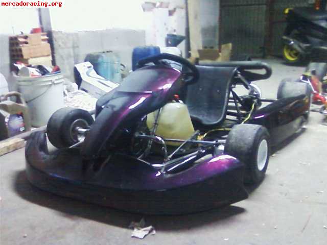 Top kart motor rotax max