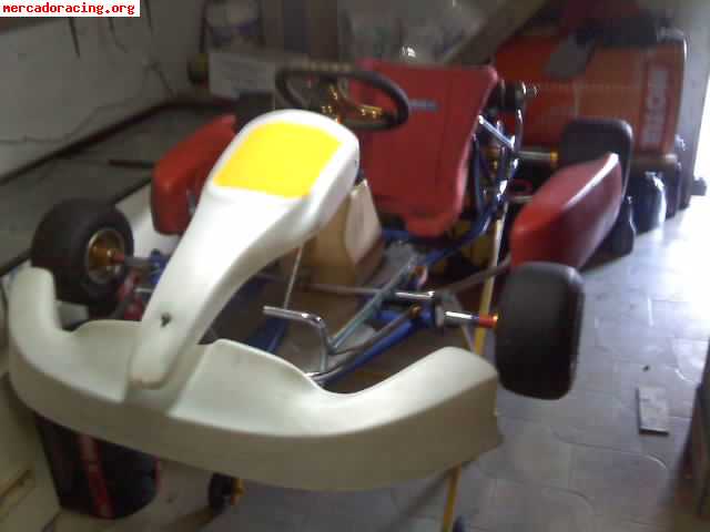 Se vende kart mark wilson con motor intrepit de 100cc con em