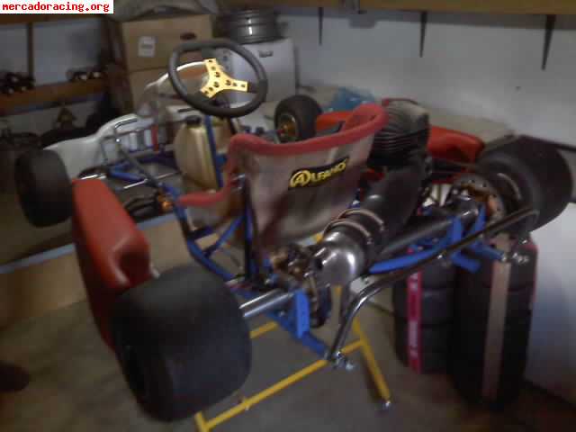 Se vende kart mark wilson con motor intrepit de 100cc con em