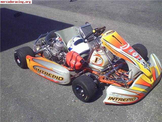 Kart intrepid kz2 (6 marchas) impecable